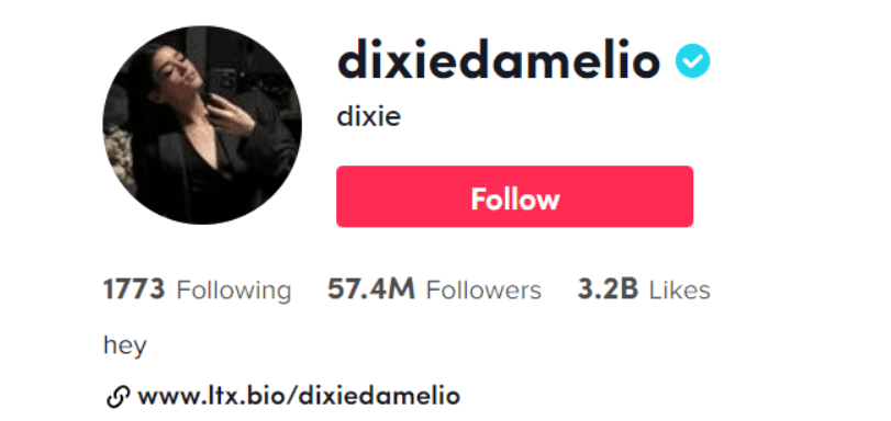  Dixie D’Amelio