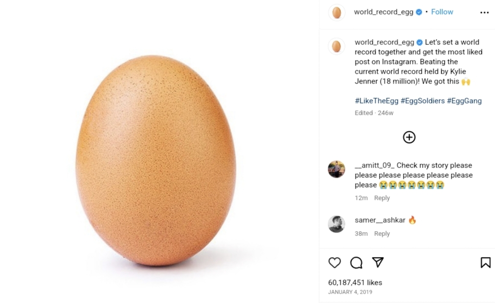 A world- record holding egg picture