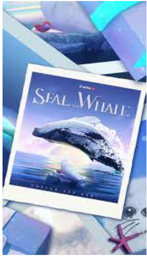 Seal and Whale
