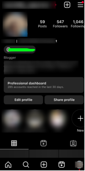 Instagram profile settings