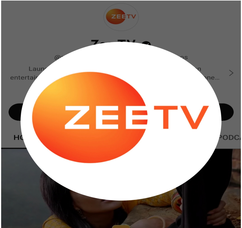 Zee TV